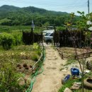 복탄1길 이미지