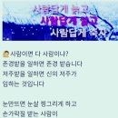 고양이천국 이미지