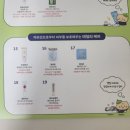 올리브2 | 올리브영 26년 2월 올리브키트 수령 후기, 오프라인 매장 후기