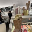 와와민박 | 학생 일상 | 버디와 작별인사 | 체코 기념품 필스너 우르켈 유리컵 추천 | 프라하 패들보트 가격 및 후기 |