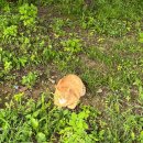 호수의료재단 이미지