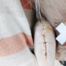 형제종합동물병원 이미지