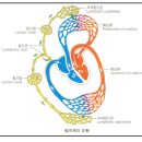 자연미인 에스테틱 이미지