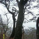 암봉농장 이미지