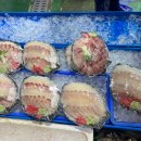 곰표수산