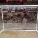 종고초등학교 이미지