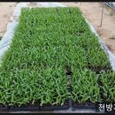 달봉농원 이미지