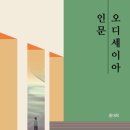 홍대욱 / 인문 오디세이아/책과 나무 이미지