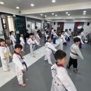 조아태권도 이미지