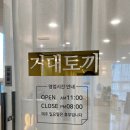 거대토끼뷰티