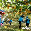 이상문농장 이미지