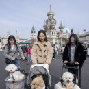 하늘하개 이미지