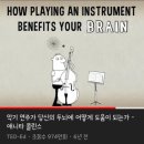 돌체악기