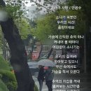 사랑의 소나기 이미지