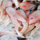 가덕도 펜션민박 이미지