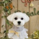 유니스펫살롱 이미지