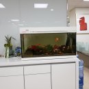 피쉬마트수족관 이미지