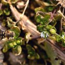 포커스 행정사 이미지