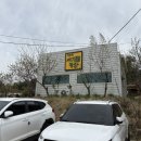 강릉 아이랑 가기 좋은 대관령아기동물농장 직접 체험할수 있어요