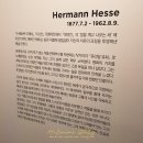 수채화의 세계1,2 | 헤르만헤세 전시회: 치유의 그림들 | 마음을 위로하는 예술 여행, 내돈내산 전시 관람 후기