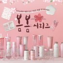 더 봄봄 이미지