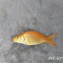 백달낚시터 이미지