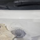 미래모터스 이미지