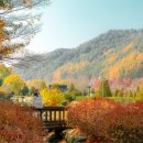 프렌치&가든플라워 이미지