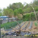 판문동8 이미지