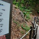 우면산7-2-2 이미지