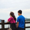 등대목장 이미지