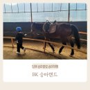 김해승마클럽 이미지