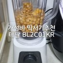 01-C | 가정용 믹서기 추천 :) 테팔 BL2C01KR 직접 사용해 본 후기