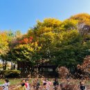 희소유치원 이미지