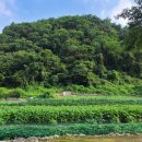 호두나무민박 이미지