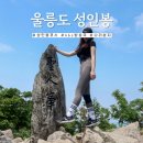 울릉도 성인봉 등산 최단 코스 kbs 울릉중계소 정상 나리분지 하산 등린이 난이도 후기