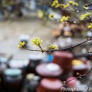 해변의 꿈 이미지