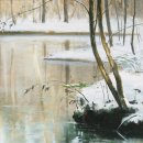 천과나무 이미지