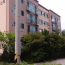 분당-347 이미지