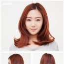 아드리다헤어 이미지