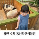 용인두보아파트 어린이 놀이시설 | 용인 수지 동천자연식물원