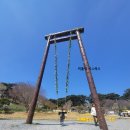 서울근교 봄축제 서산 여행 필수코스 수선화가 아름다운 풍경 - 서산 유기방 가옥