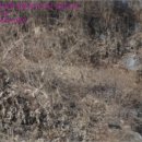 양주남면1 이미지