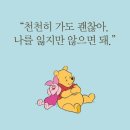 곰돌이푸 세상 이미지