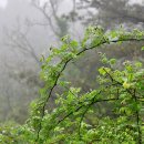 하루산책 이미지