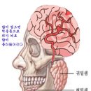 씹(嚼)고 침삼키는 것 생명 보존에 중요함을 증언한 의학자들 이미지