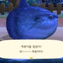 준약국 이미지