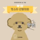 멍스타 이미지