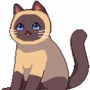 야옹야옹 이미지