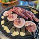 의령유니베라